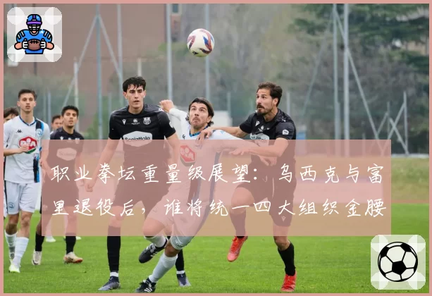 职业拳坛重量级展望：乌西克与富里退役后，谁将统一四大组织金腰带？