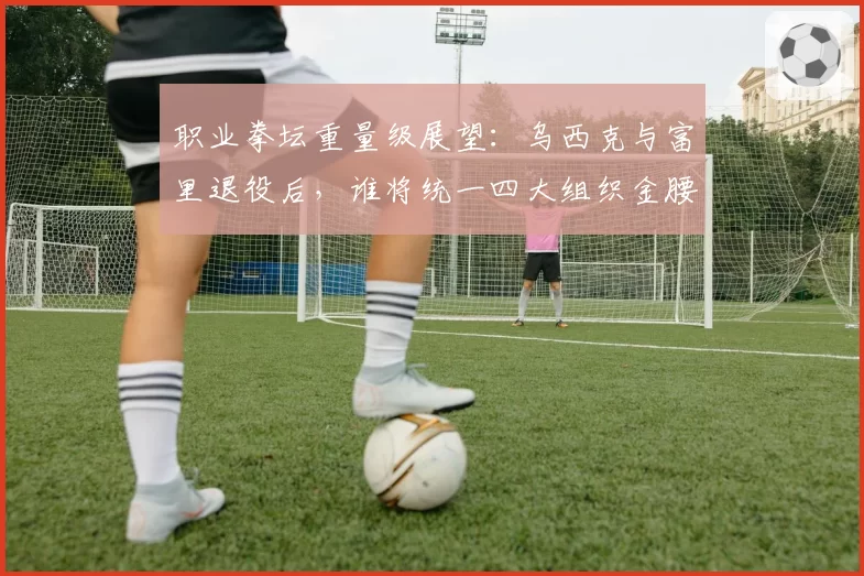 职业拳坛重量级展望：乌西克与富里退役后，谁将统一四大组织金腰带？